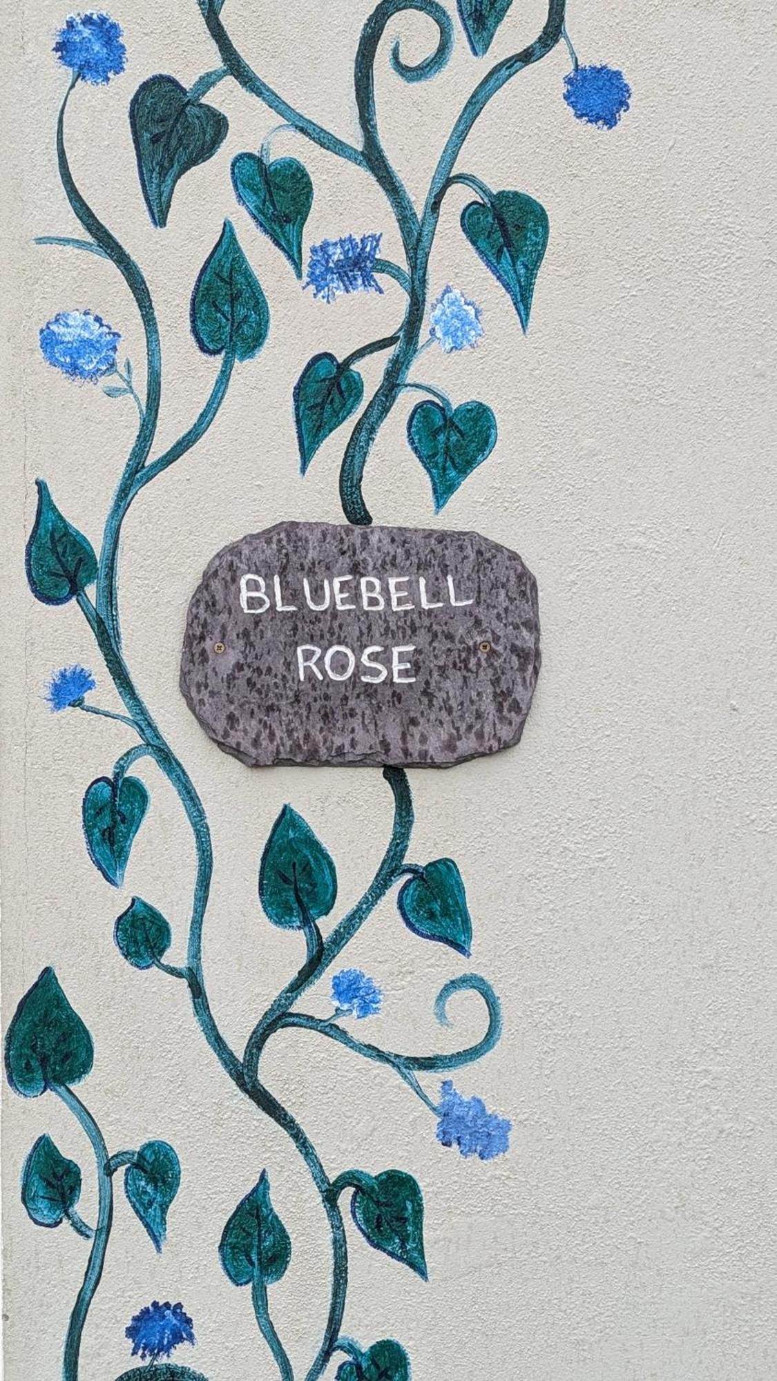 Skellig View Bluebell Rose & The Kerry Cliffs Apartman Portmagee Kültér fotó
